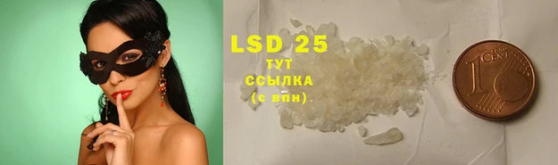 PSILOCYBIN Верхний Тагил