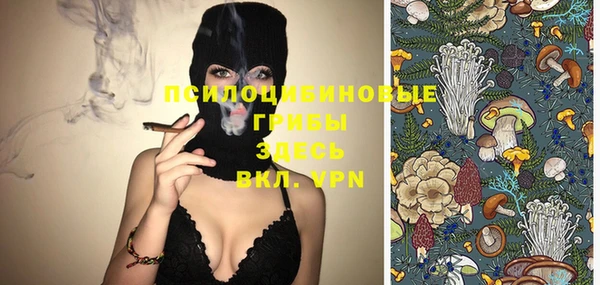 ALPHA PVP Покровск