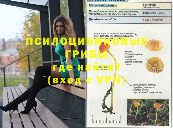 PSILOCYBIN Верхний Тагил