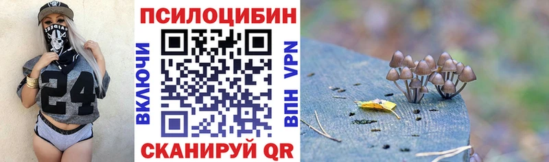 Псилоцибиновые грибы GOLDEN TEACHER  маркетплейс как зайти  Балаково  blacksprut вход 
